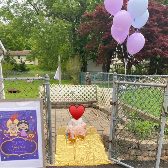 Princess Jasmine Themed decoration - Picture 2 of 15